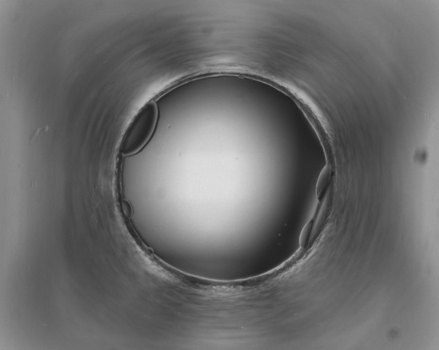 X0000096391333200802071528