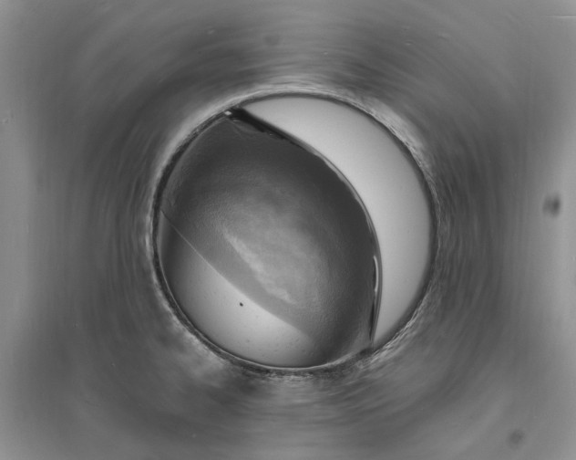X0000096391334200802071528
