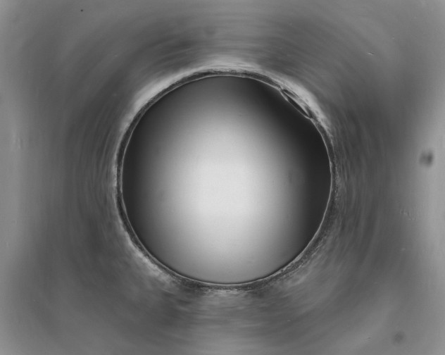 X0000096391335200802071528