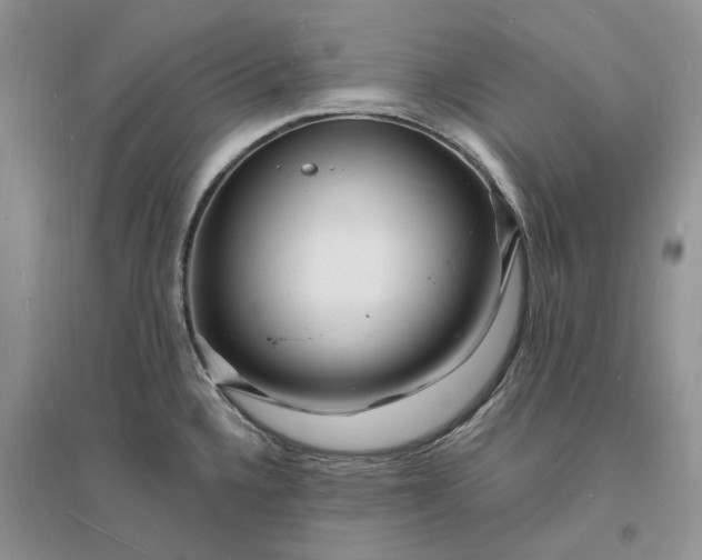 X0000096391336200802071528