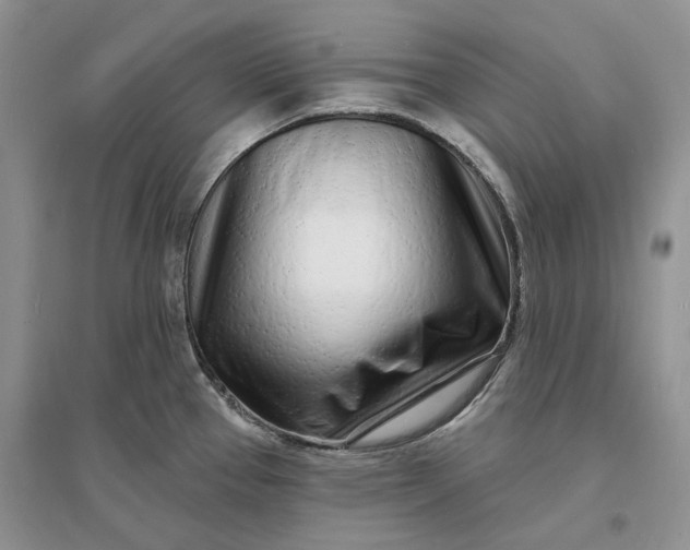 X0000096391337200802071528