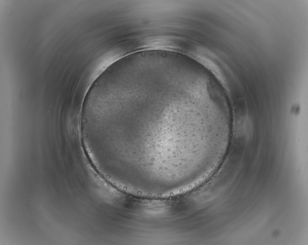 X0000096391338200802071528