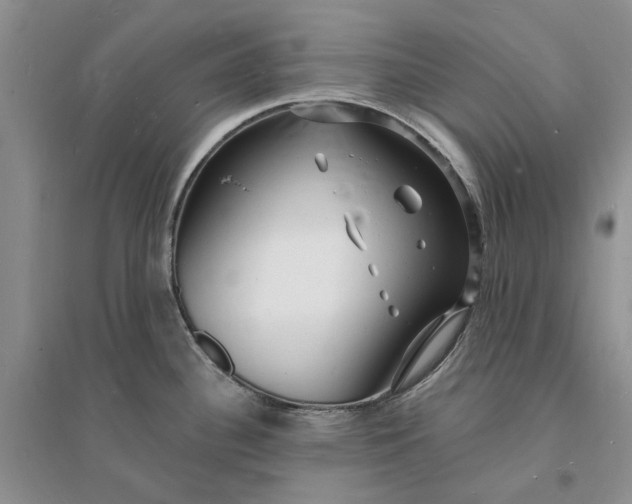 X0000096391340200802071528