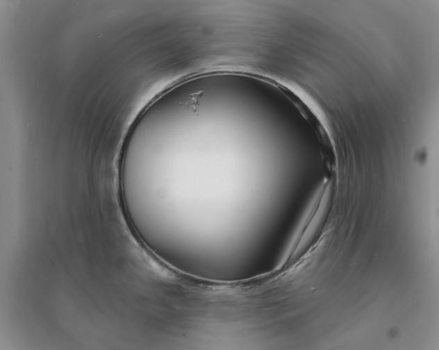 X0000096391341200802071528