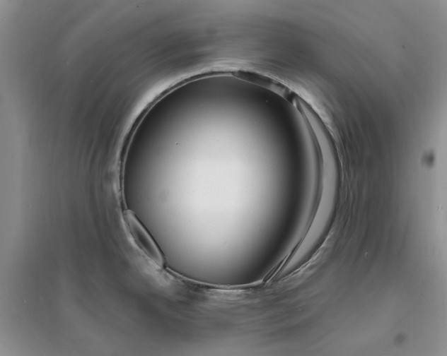 X0000096391342200802071528