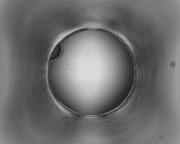 X0000096391343200802071528