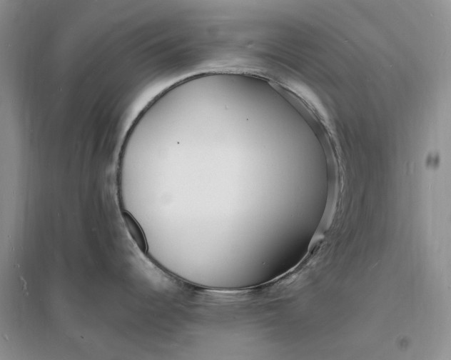X0000096391344200802071528