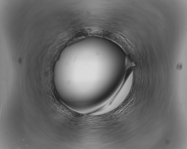 X0000096391345200802071527