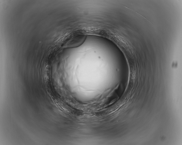 X0000096391346200802071527