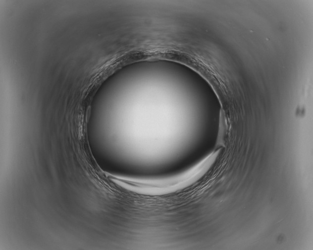 X0000096391348200802071527