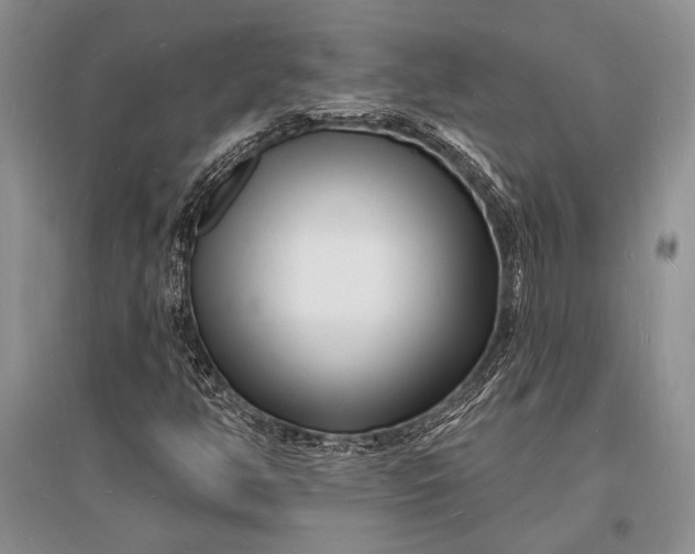 X0000096391350200802071527