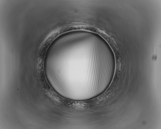 X0000096391351200802071527