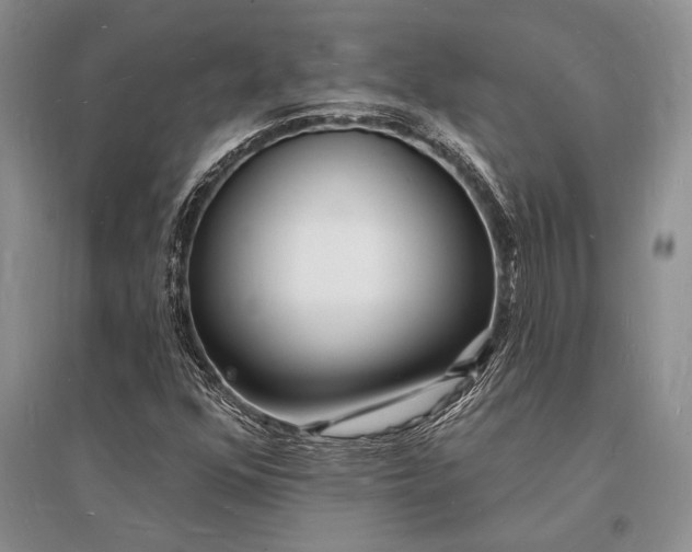 X0000096391352200802071527