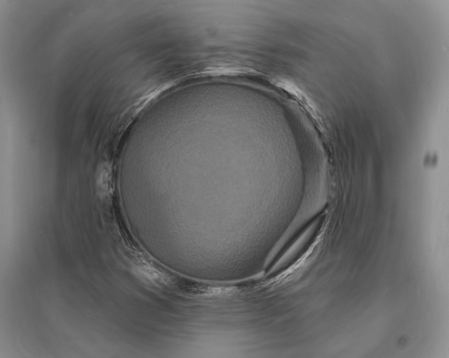 X0000096391353200802071527