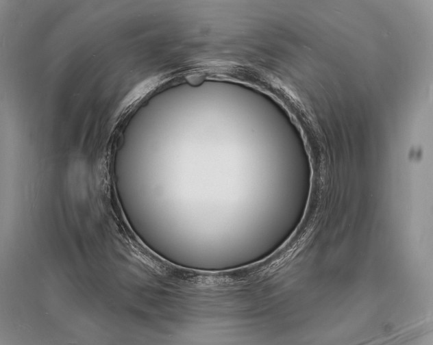 X0000096391354200802071527