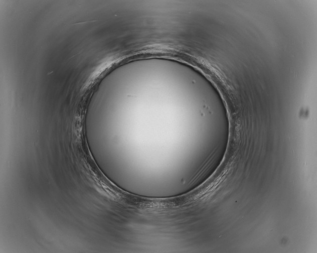 X0000096391355200802071527