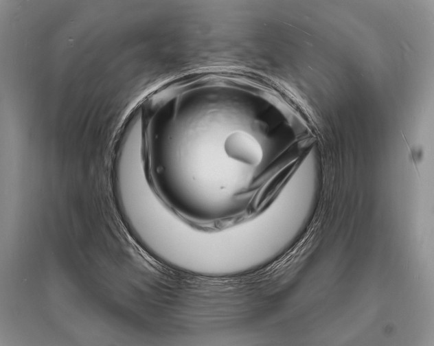 X0000096391356200802071527