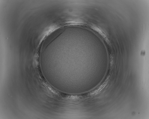 X0000096391357200802071527