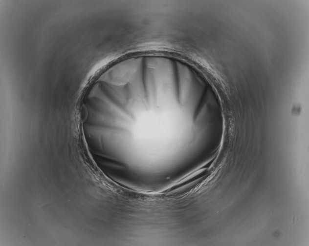 X0000096391358200802071527