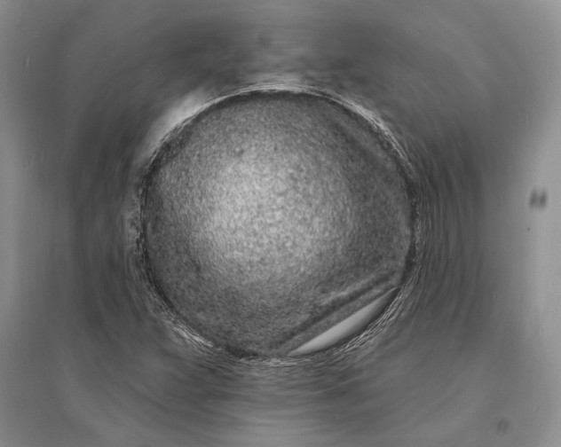X0000096391359200802071527