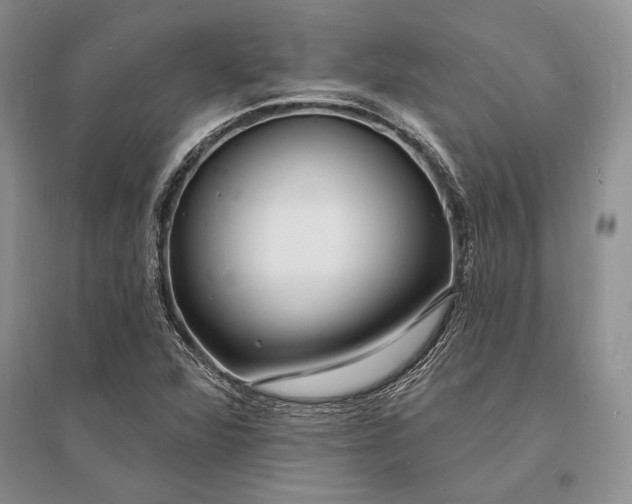 X0000096391360200802071527
