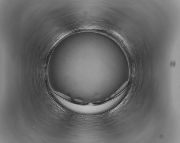 X0000096391361200802071527