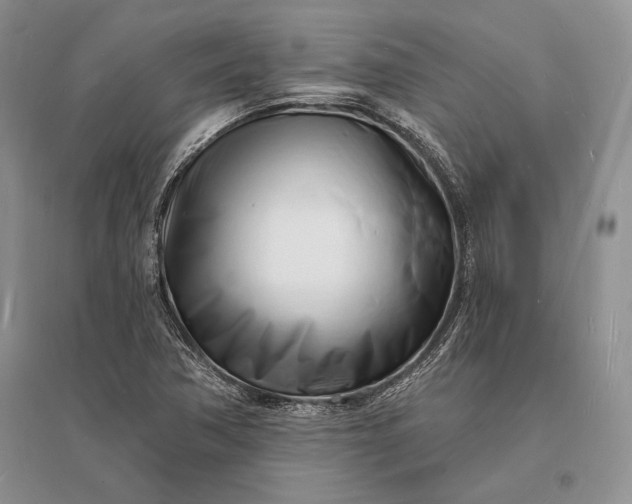 X0000096391362200802071527