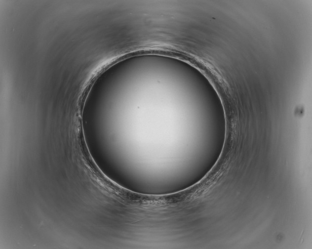 X0000096391363200802071527