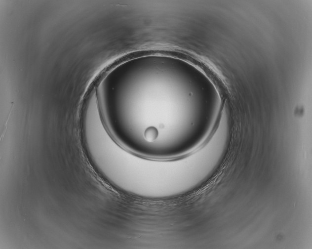 X0000096391364200802071527