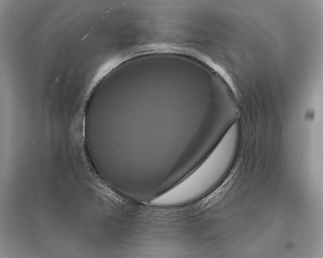 X0000096391365200802071527