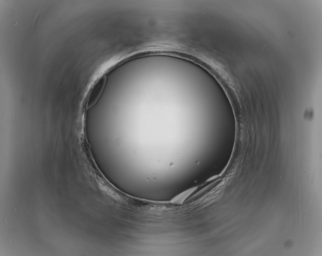 X0000096391366200802071527