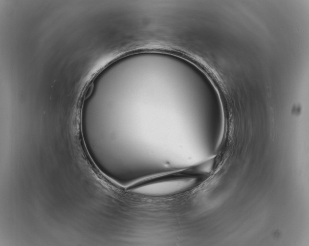 X0000096391367200802071527