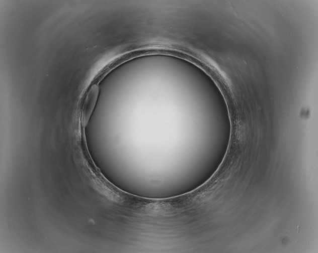 X0000096391368200802071527