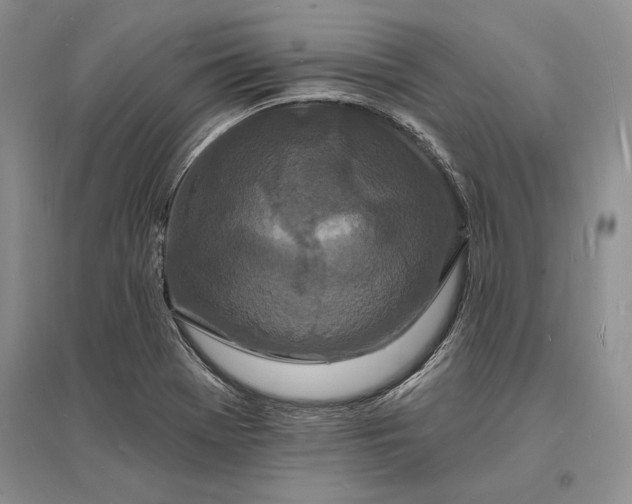 X0000096391369200802071527