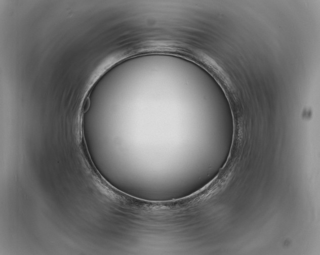 X0000096391370200802071527