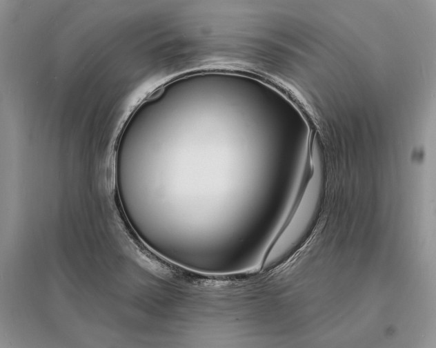 X0000096391371200802071527