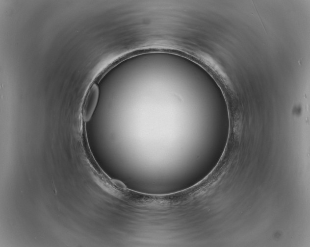 X0000096391372200802071527