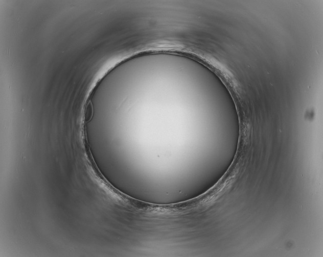 X0000096391374200802071527