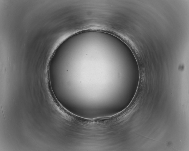 X0000096391375200802071527