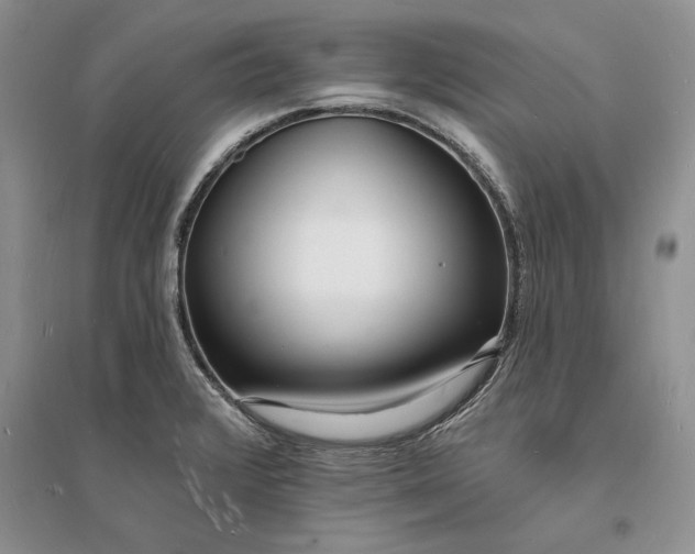 X0000096391376200802071527