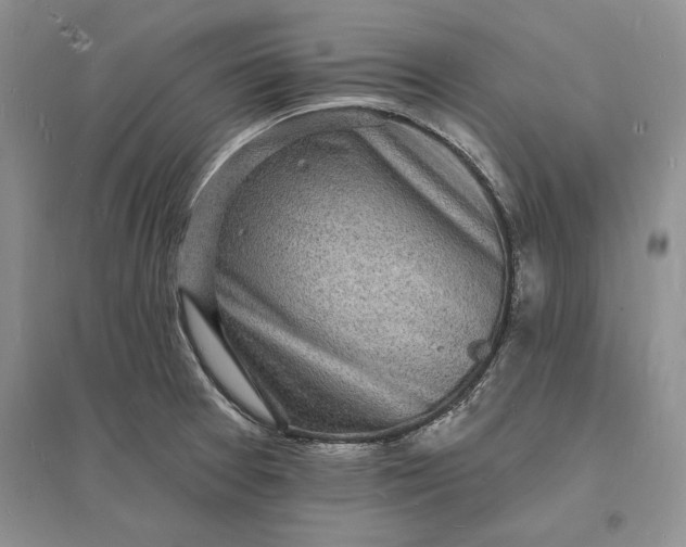 X0000096391377200802071527