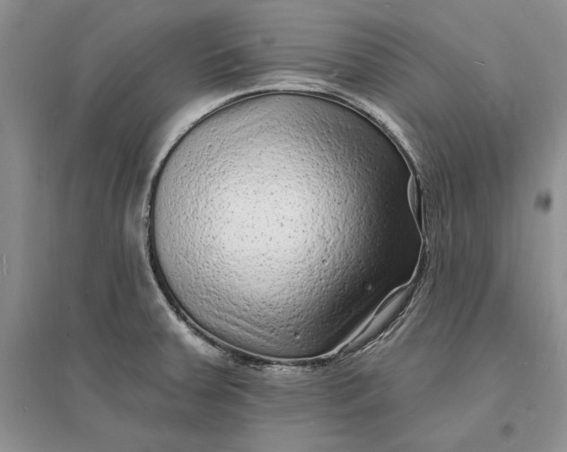 X0000096391379200802071527