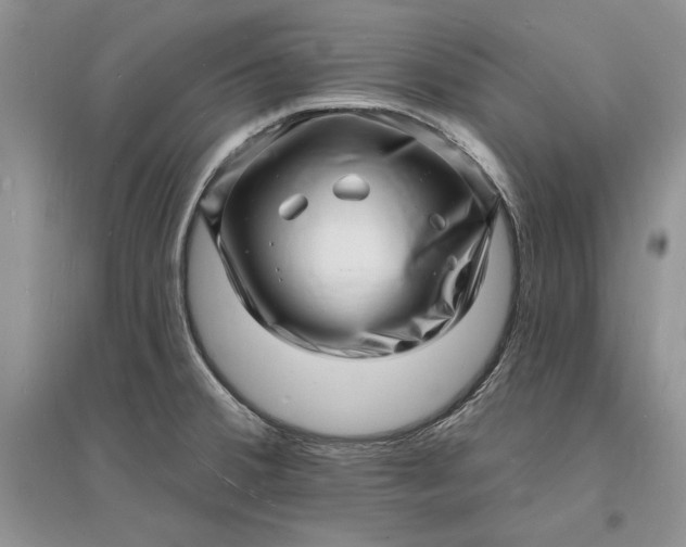 X0000096391380200802071527