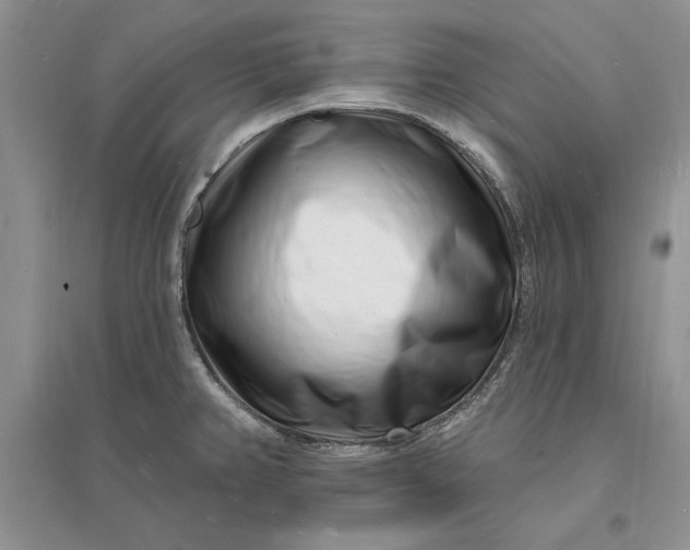 X0000096391382200802071526