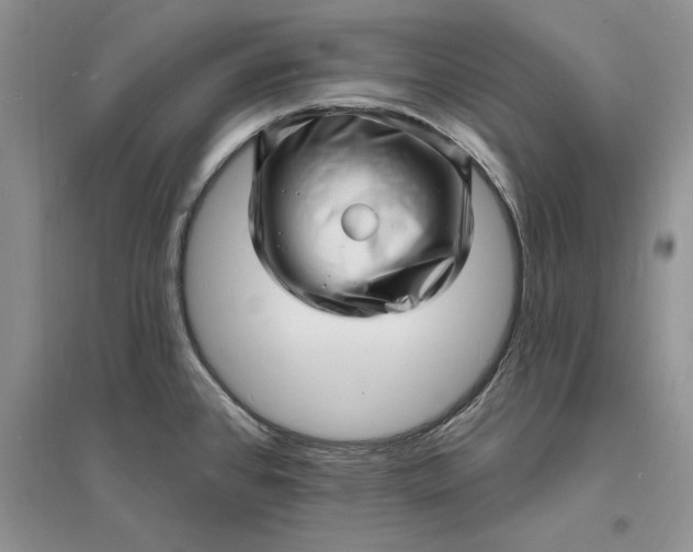 X0000096391384200802071526