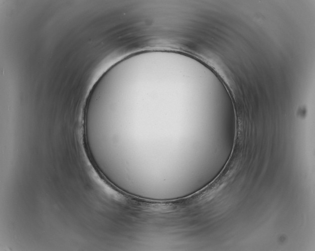 X0000096391387200802071526