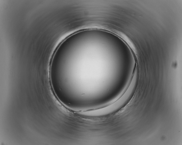 X0000096391388200802071526