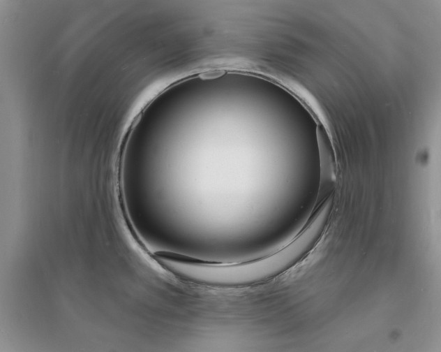 X0000096391389200802071526