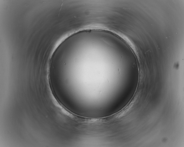 X0000096391390200802071526