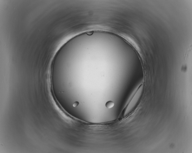 X0000096391391200802071526